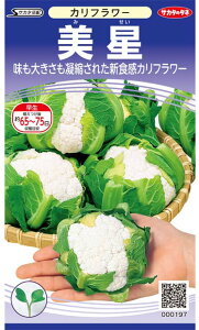 q2000Eybg5000rJt[y@@zTJ^̃^l