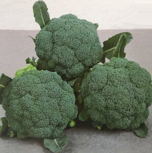 2025N6{ȍ~q2000Eybg5000rubR[y@΂́@zTJ^̃^l