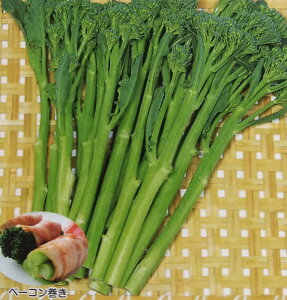 ubR[y@subR[ XeBbNZj[@zTJ^̃^l