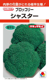 〈RF・DF小袋・20ml〉ブロッコリー種【　シャスター　】タキイ種苗