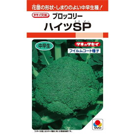 〈RF・DF小袋・500粒・2000粒・L5千粒〉ブロッコリー種【　ハイツSP　】タキイ種苗
