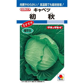 キャベツ種【　初秋　】タキイ種苗
