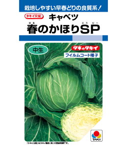 �L���x�c��y�@�t�̂��ق�SP�@�z�^�L�C��c