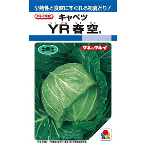 �qDF���܁E150���E2000���EL5�痱�r�L���x�c��y�@YR�t��@�z�^�L�C��c