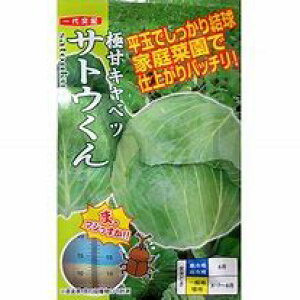 Lxcy@TgE@z i͔|p q Lxc igcj