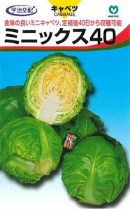 Lxcy@~jbNX40@zi͔|p q ێ j