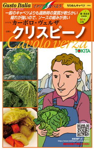 Lxcy@NXs[m@zi͔|p q ߂Lxc@gL^cj