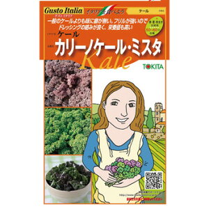 P[y@J[mP[E~X^@z i20×2ji͔|p q gL^cj