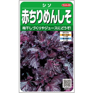 V\y@Ԃ߂񂵂@z珬܁@TJ^̃^l