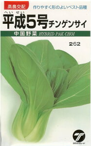 `QTCy@5@z i͔|p q 񂰂񂳂 ^J}j