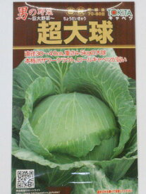 ★キャベツ種【　超大球　】小袋 （栽培用 種子 きゃべつ 甘藍 トキタ）