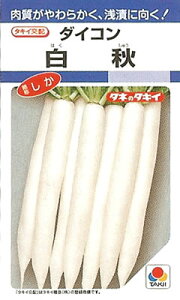 ダイコン種【 白秋 】 (栽培用 種子 大根 だいこん 大根 タキイ)