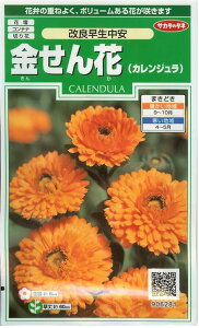 Ԏy@Ǒ@z珬 i͔|p q  TJ^j