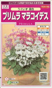 v}RCfXy@@z珬 i͔|p q  TJ^j