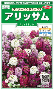 Ԏqy@_[h~bNX/AbTEXC[gAbT@zTJ^̃^l@