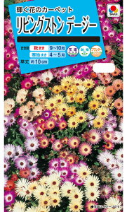 f[W[y@rOXgf[W[@z i͔|p q  ^LCj