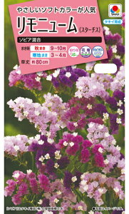 j[iX^[`Xjy@\sA@z i͔|p q  ^LCj