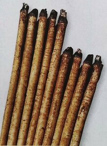ゴボウ 種の人気商品 通販 価格比較 価格 Com ゴボウ 種の人気商品 通販 価格比較 価格 Com
