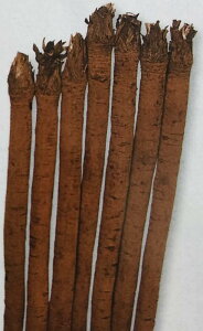 S{Ey@ONq 咷@zGF i͔|p q  ڂ ^LCj