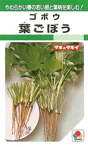 S{Ey@tڂ@zGF i͔|p q ڂ  ^LCj