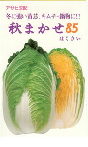 nNTCy@H܂85@z i͔|p q ͂  ATqj