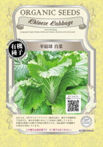 L@qy@؁@z i͔|p q t؁j