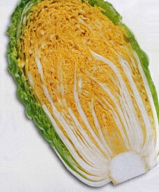 楽天市場 オレンジ 白菜 種の通販 楽天市場 オレンジ 白菜 種の通販