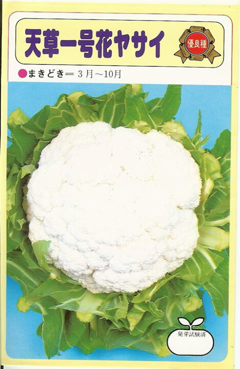 楽天市場 カリフラワー種 天草一号花ヤサイ 2ml はなやさい 花椰菜 花キャベツ 栽培用 種子 みつのぶ