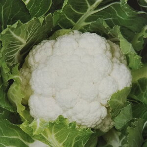 q2000Eybg5000rJt[y@I[igzCg@zTJ^̃^l