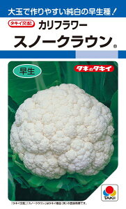 qRFEDF܁E20mlEL5痱rJt[y@Xm[NE@z^LCc