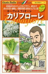 �J���t�����[��y�@�J���t���[��80�@�z���܁@(�͔|�p ��q �Ԗ�؁@�g�L�^��c)