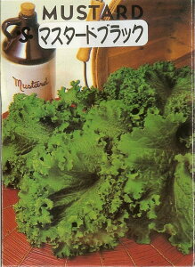 カラシナ 種の通販 価格比較 価格 Com