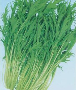 ~Yiy@Α؁@z i͔|p q ݂  j