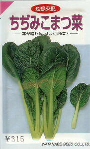 R}ciy@ݏ؁@z i͔|p q ܂  nӁj