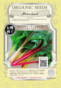 L@qy@XCX`[h / ӂ / Jt@z i͔|p q t؁j