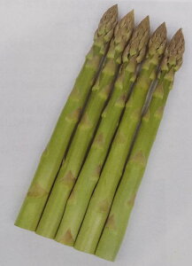 �q100���E1000���r��12���V����׌㔭���@�A�X�p���K�X��y�@�E�F���J��AT�@�z�T�J�^�̃^�l