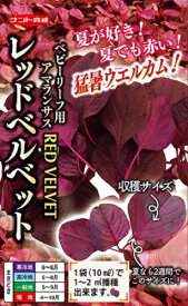※新種2026年12月以降入荷予定ベビーリーフ種【　レッドベルベット（ベビーリーフ用アマランサス　】 ナント種苗
