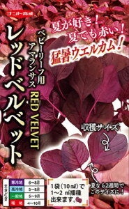 V12ȍ~ח\xr[[ty@bhxxbgixr[[tpA}TX@z igc