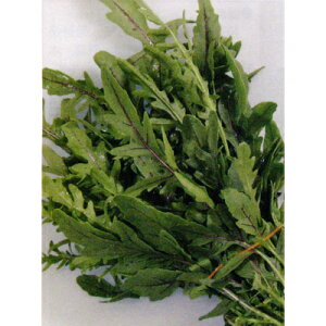 n[uy@[}Eb\i[REZo[eBJj@z i͔|p q gL^cj