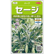※新種12月以降入荷予定ハーブ種【　セージ　】実咲小袋　サカタのタネ