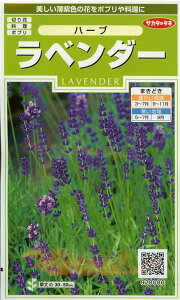 12{ȍ~ח\n[uy@x_[@z i͔|p q ́[ TJ^j