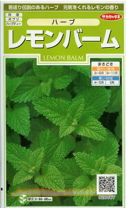 V12{ȍ~ח\n[u@o[(珬)TJ^̃^l