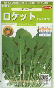 V12{ȍ~ח\n[uy@PbgibRjz 珬 i͔|p q ́[ TJ^j