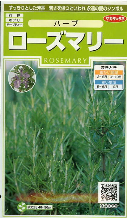楽天市場 予約販売 7月以降発送開始 ハーブ種 ローズマリー 0 2ml みつのぶ