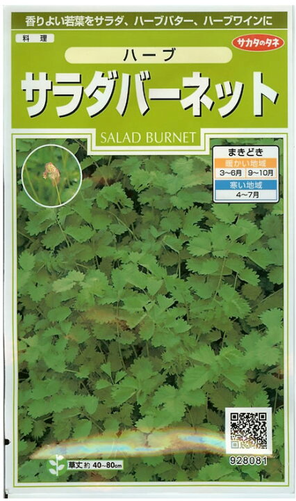 楽天市場 予約販売 7月以降発送開始 ハーブ種 サラダバーネット 1 9 Ml みつのぶ