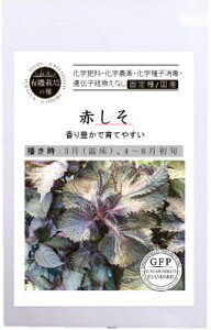 V2026N3ȍ~ח\L@qy@Ԃ@z i͔|p q n[u̎qj