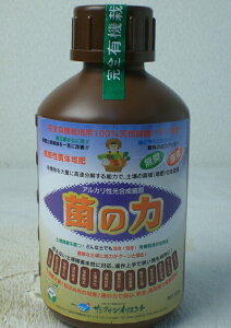 yǍ܁y@ۂ̗́@z500cc