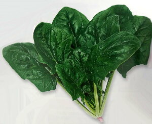 q30mlEM3rzE\Ey@F1f[g@zg[zNc