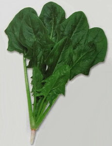 zE\Ey@ٓVہ@zGF i͔|p q ق񂻂 ق @@ ^LCj