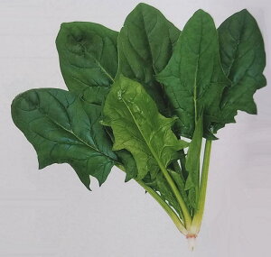 V11{ȍ~ח\zE\Ey@IVX@zTJ^̃^l